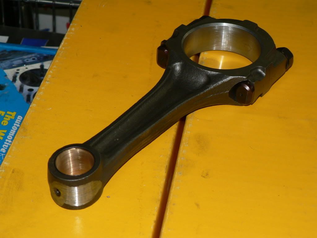 p1404456_1.jpg