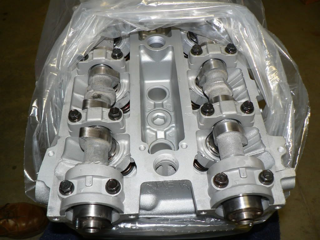 p1404469_3.jpg