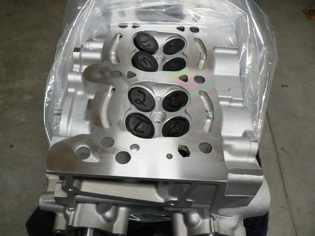 p1404469_4.jpg