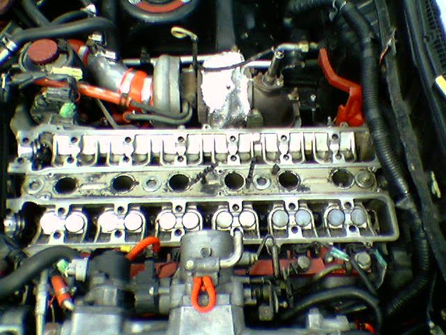 p1411588_2.jpg