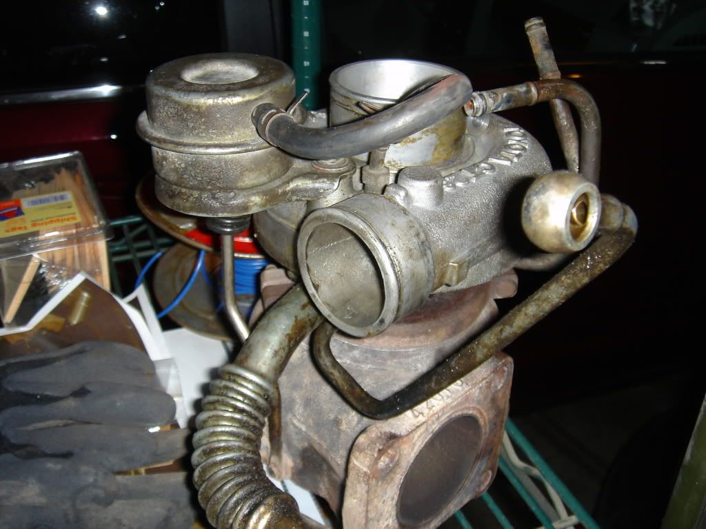 p1414077_9.jpg