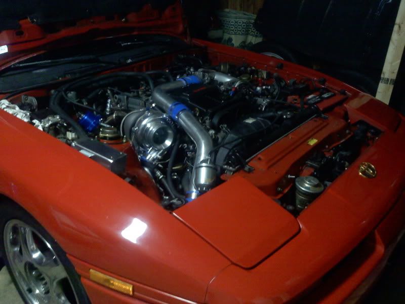 p1416306_1.jpg
