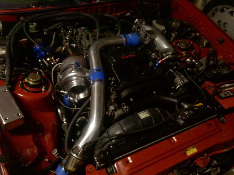 p1416306_2.jpg