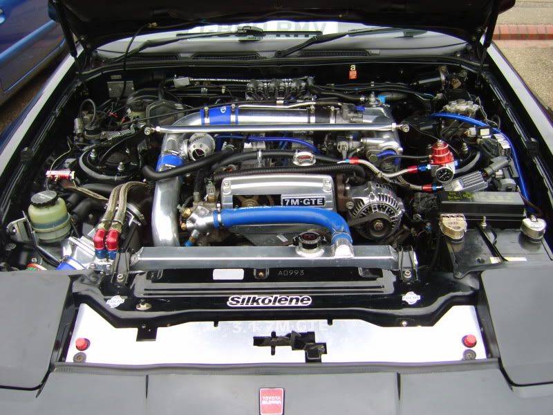 p1418344_1.jpg