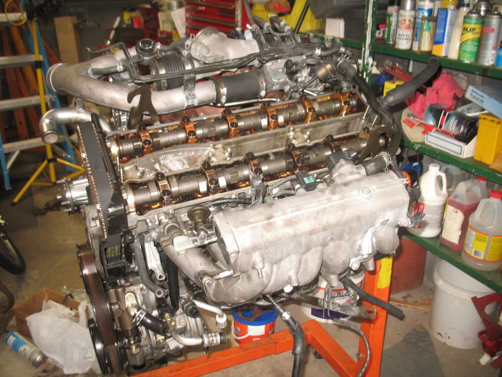 p1418715_1.jpg