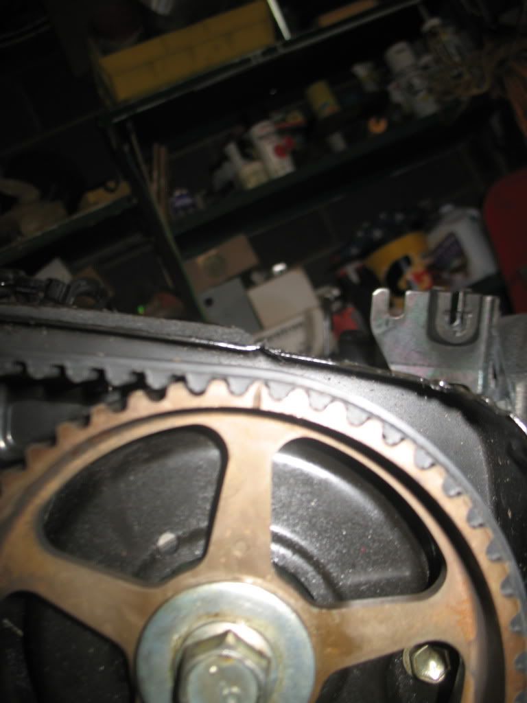 p1418715_4.jpg