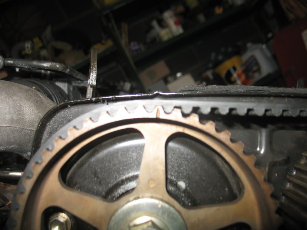 p1418715_5.jpg