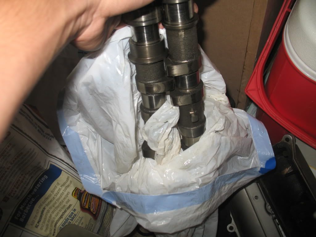 p1419999_3.jpg
