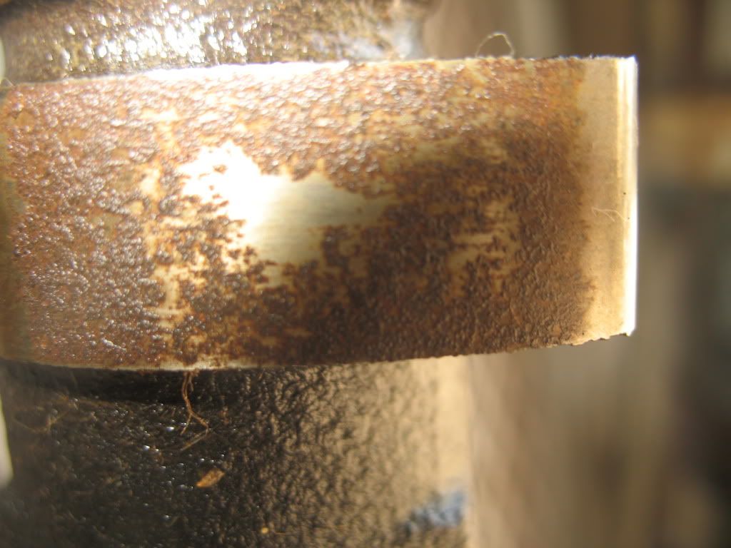 p1419999_5.jpg