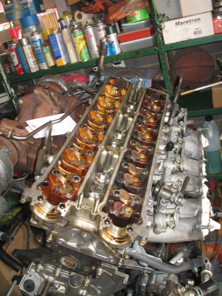 p1419999_6.jpg