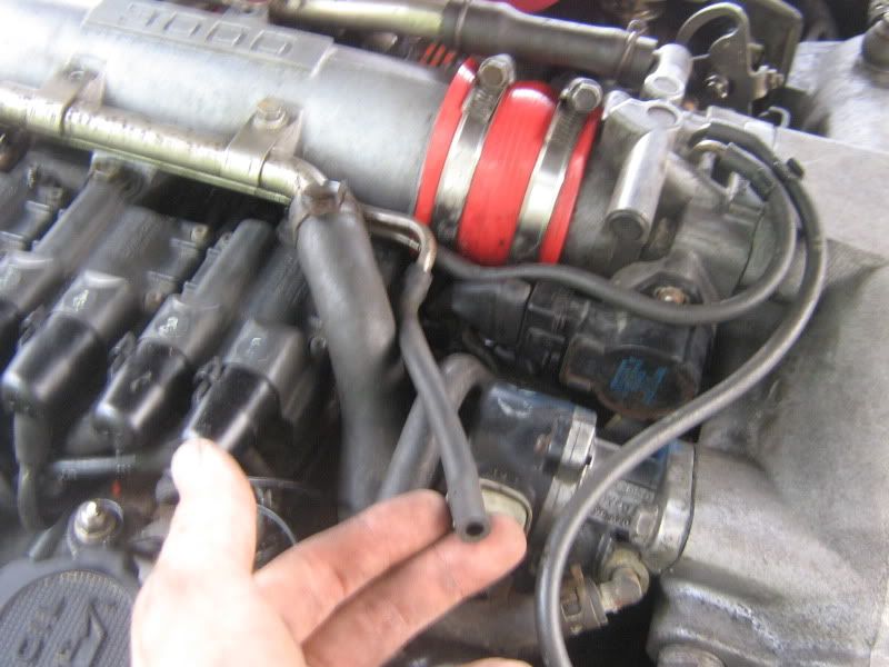p1420704_1.jpg