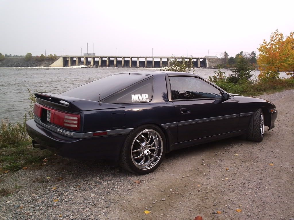 p1420892_1.jpg