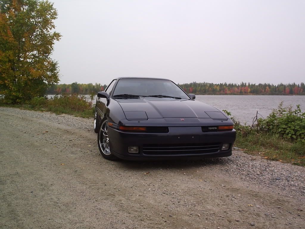 p1420892_2.jpg