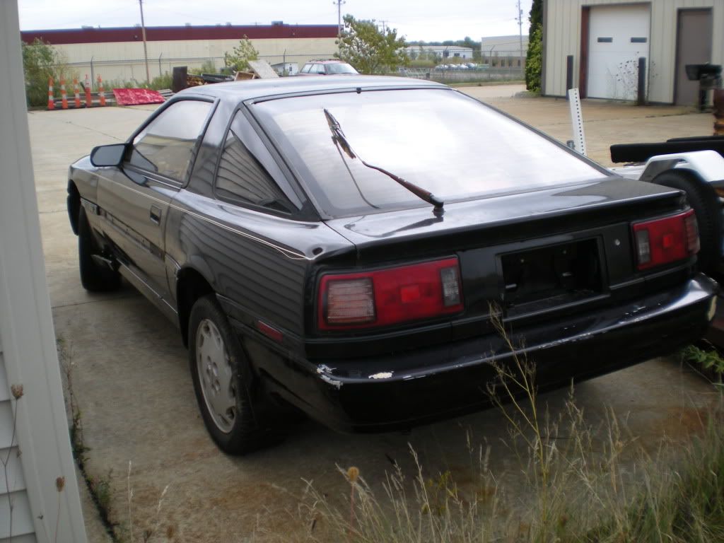 p1420928_1.jpg