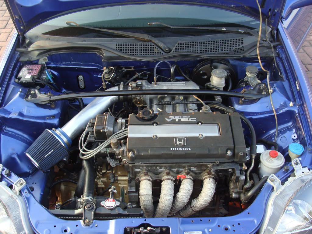 p1421329_2.jpg