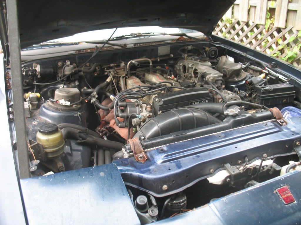 p1421600_1.jpg