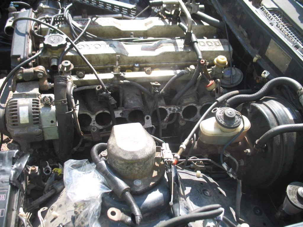 p1421600_10.jpg
