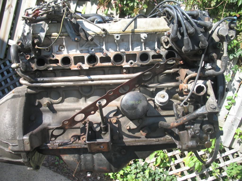 p1421600_16.jpg