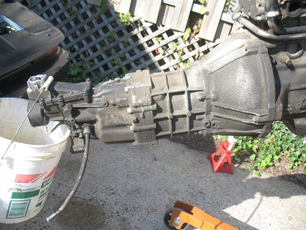 p1421600_17.jpg