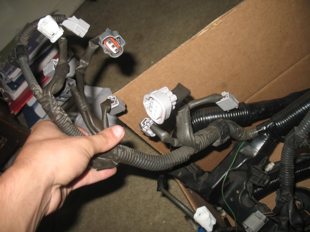 p1421600_4.jpg