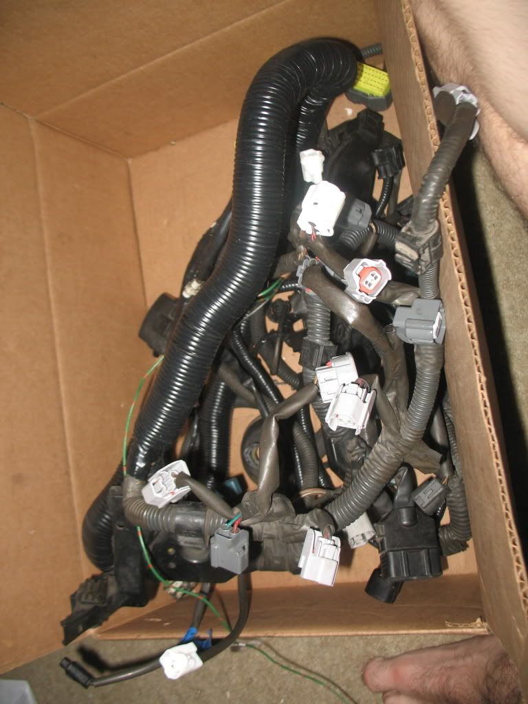 p1421600_5.jpg