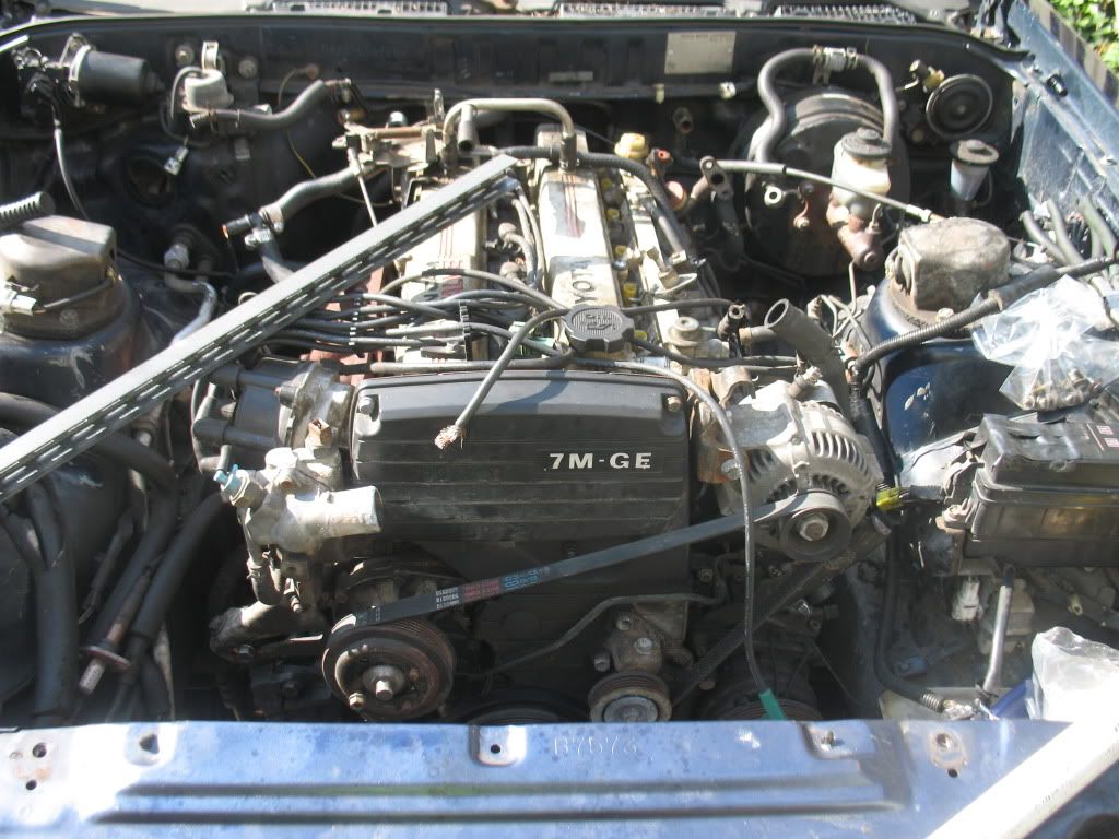 p1421600_8.jpg