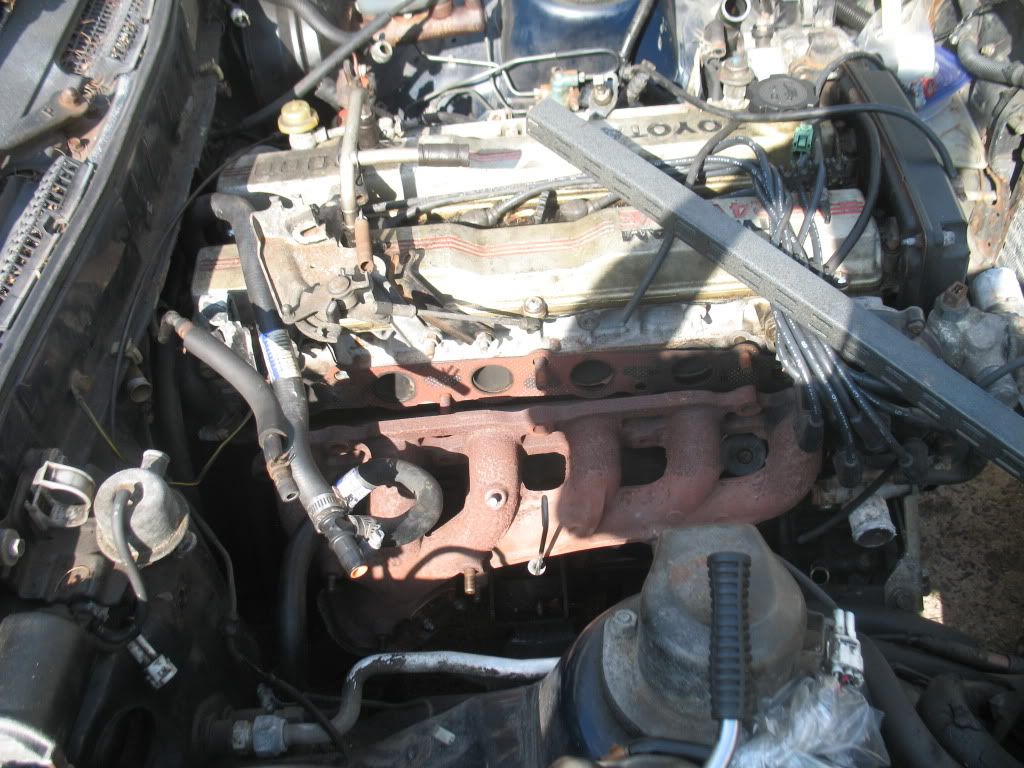p1421600_9.jpg