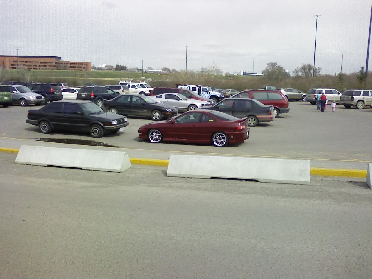 p1423554_5.jpg