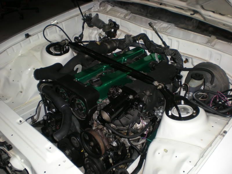 p1424106_2.jpg