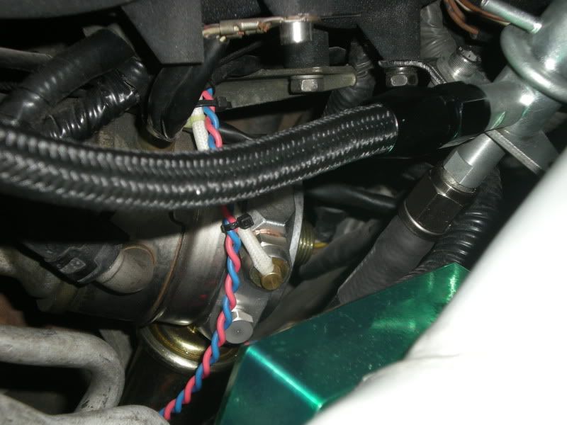 p1424106_5.jpg
