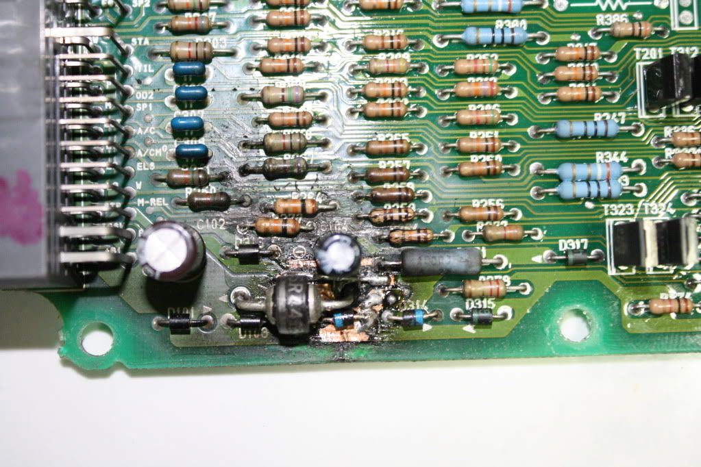 p1425093_2.jpg