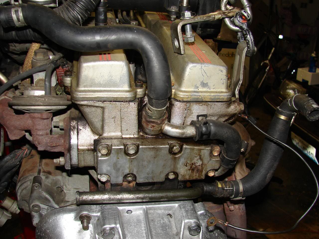 p1431482_1.jpg