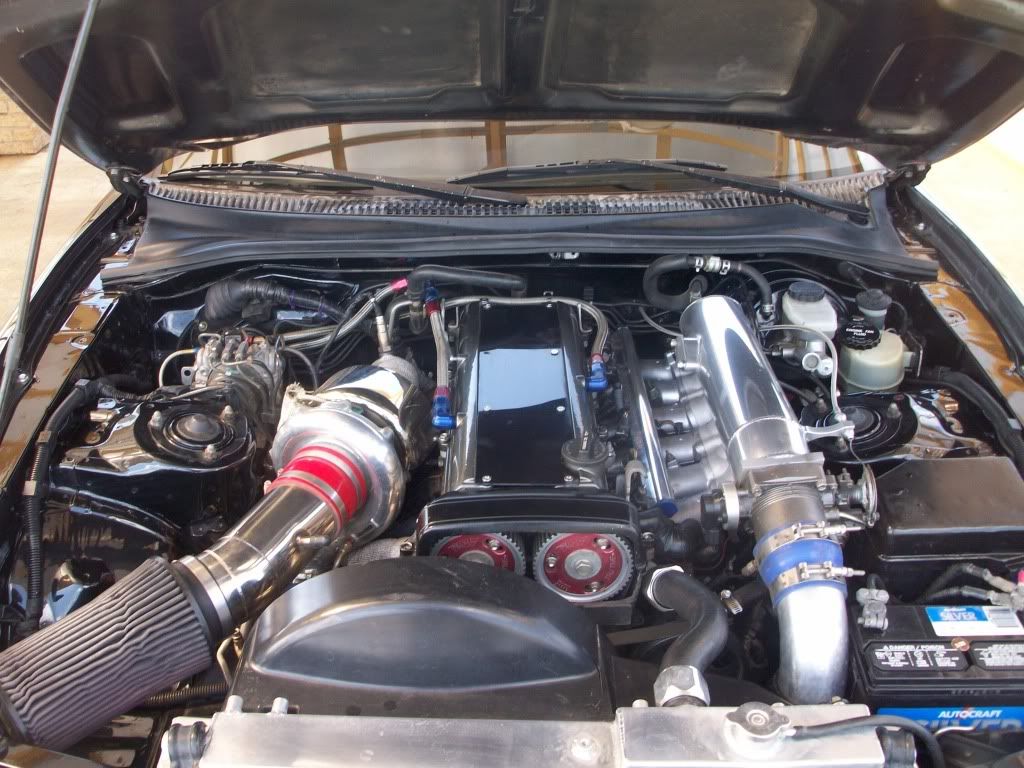 p1433616_2.jpg