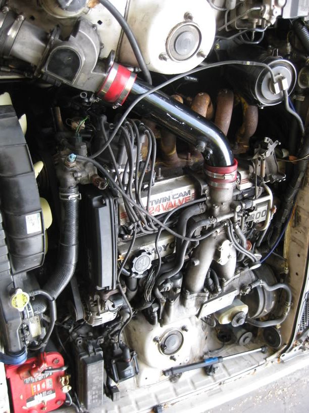 p1435328_1.jpg