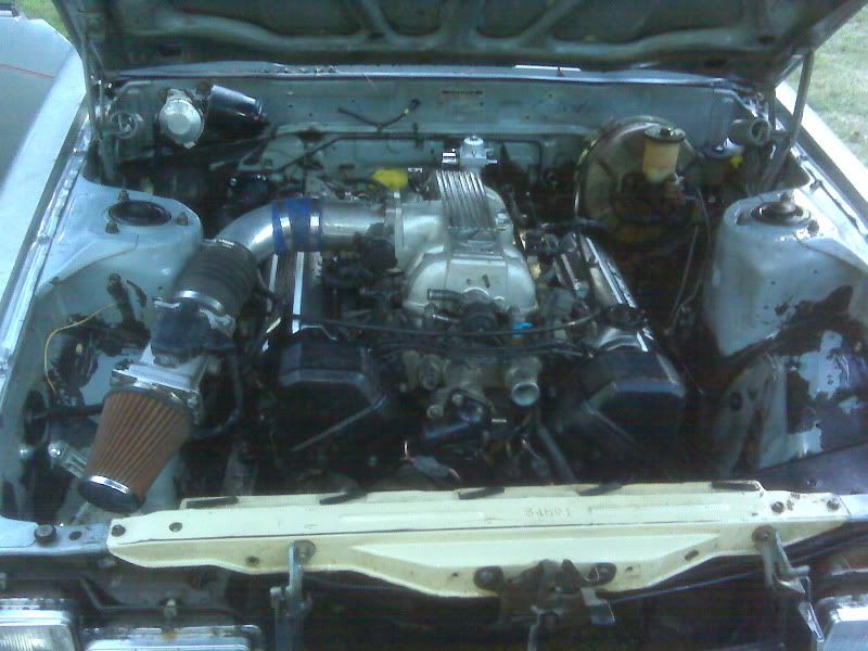 p1436528_1.jpg
