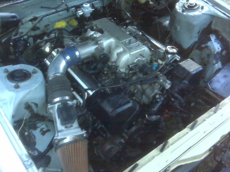 p1436528_2.jpg