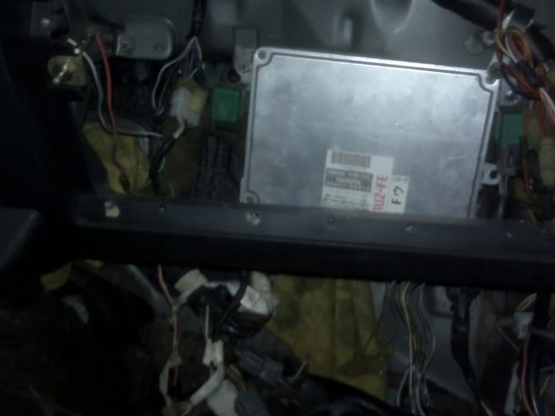 p1436528_4.jpg