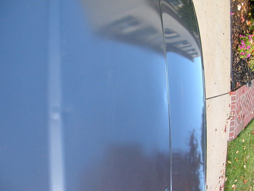 p1442430_3.jpg