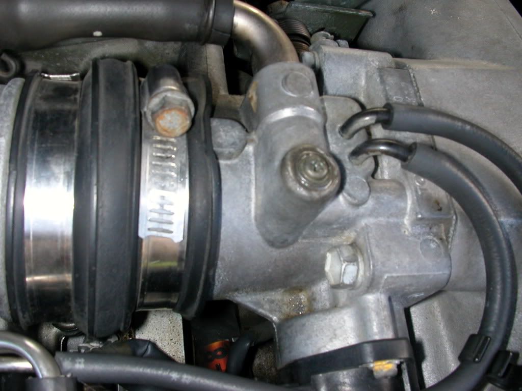 p1442430_9.jpg