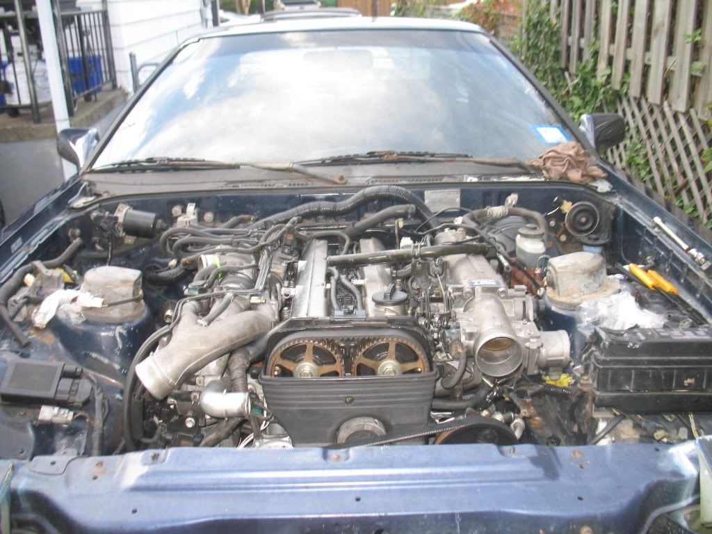 p1443990_1.jpg