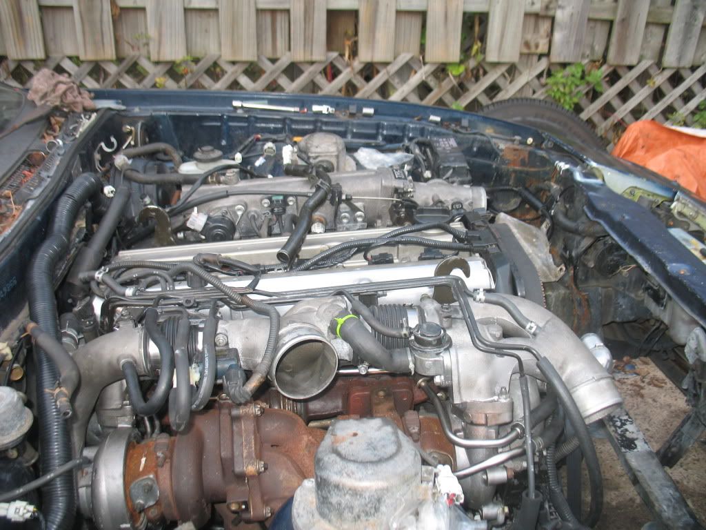 p1443990_2.jpg