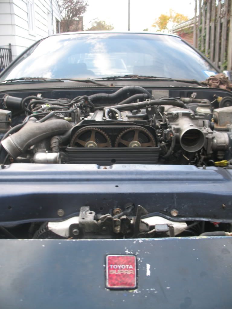 p1443990_4.jpg