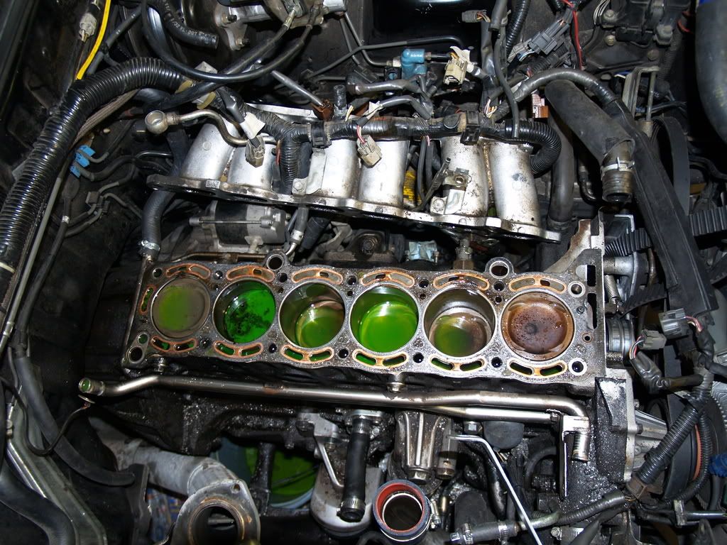 p1451607_1.jpg