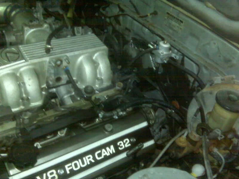 p1453367_7.jpg