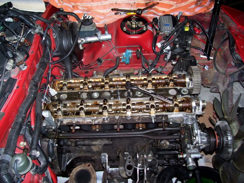 p1453867_1.jpg