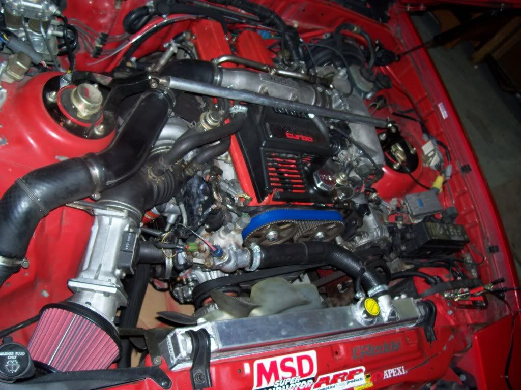 p1453867_2.jpg