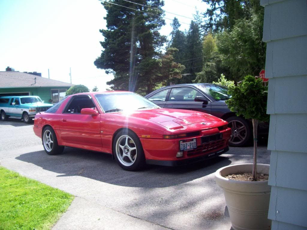 p1453875_3.jpg