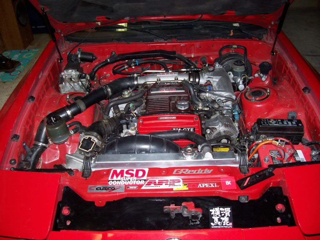 p1453883_1.jpg