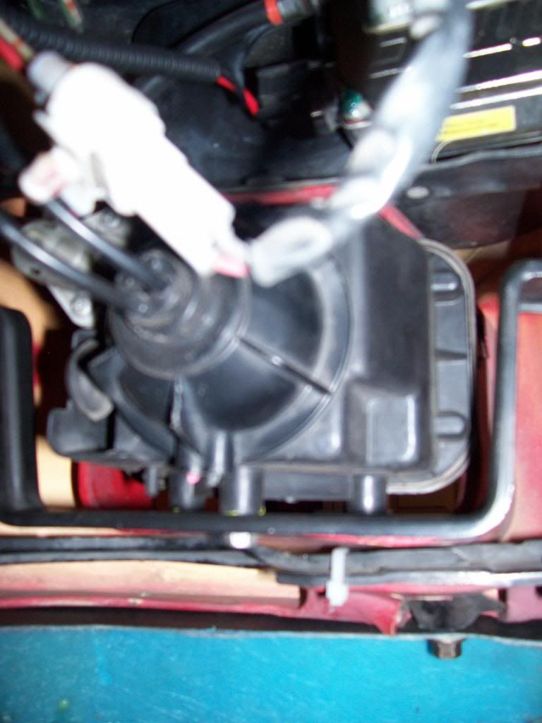 p1453883_4.jpg