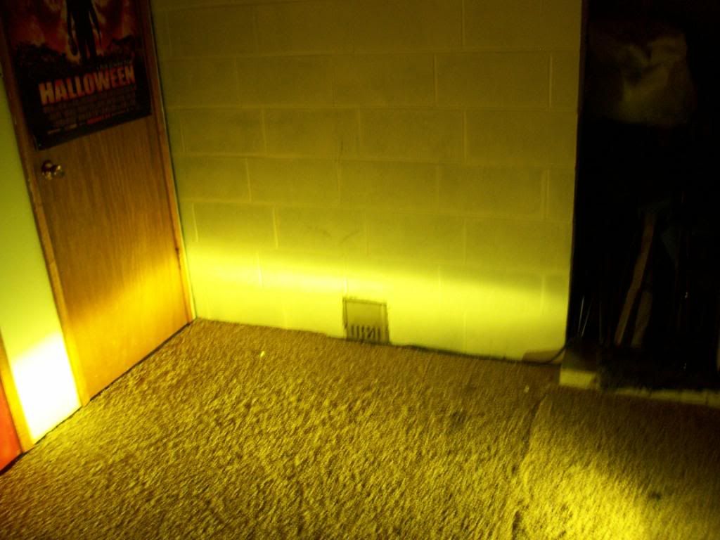 p1453883_5.jpg